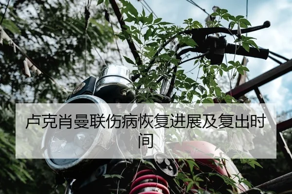 卢克肖曼联伤病恢复进展及复出时间 - douqiu
